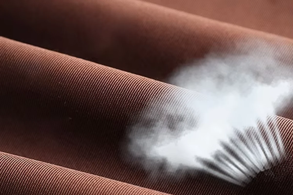 Brown fabric folds beside a white feather.